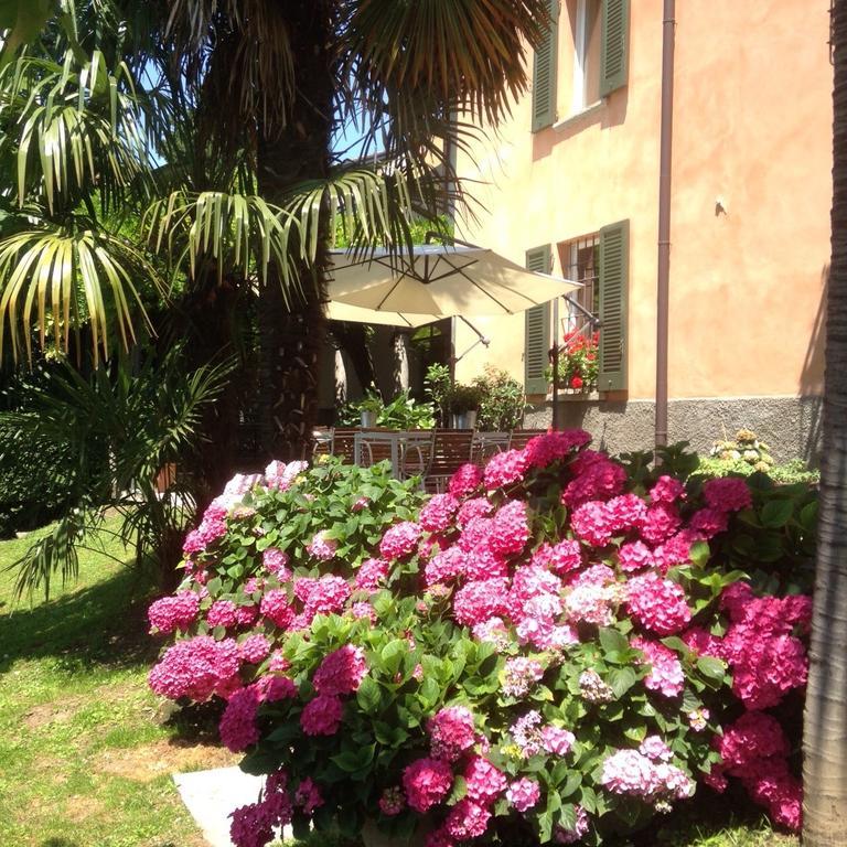 Antico Glicine B&B Масльянико Экстерьер фото